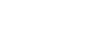 Highwild