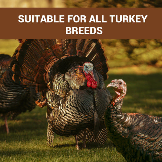 Metal Turkey Fan Mounting Kit - Trophy Display Kit