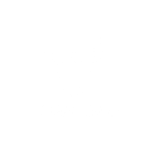 Highwild 