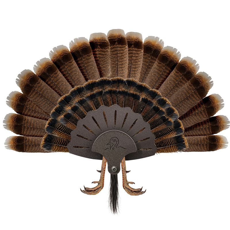 Load image into Gallery viewer, Metal Turkey Fan Mounting Kit - Trophy Display Kit
